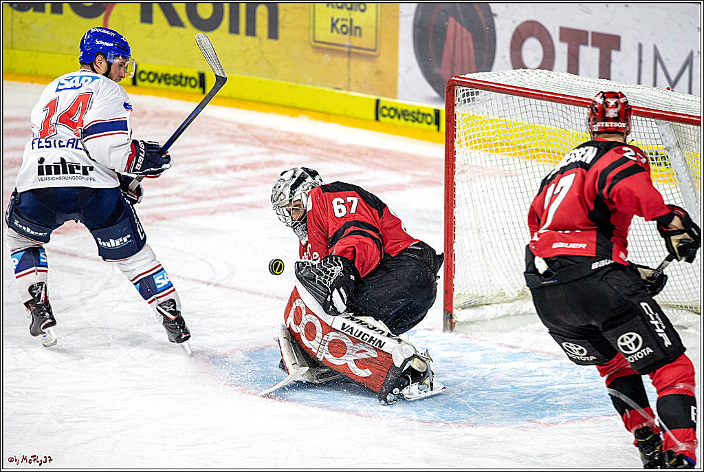 DEL; Koelner Haie - Adler Mannheim, 05.04.2019